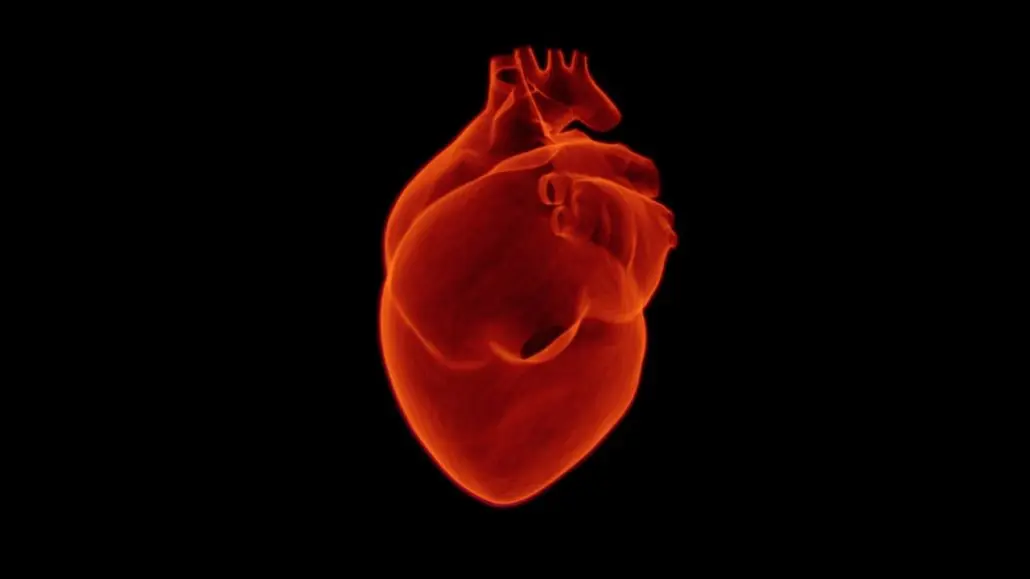Dissection aortique et prise en charge par l'ambulancier 4 Dissection aortique et prise en charge par l'ambulancier infarctus du myocarde - angor - prise en charge par l'ambulancier