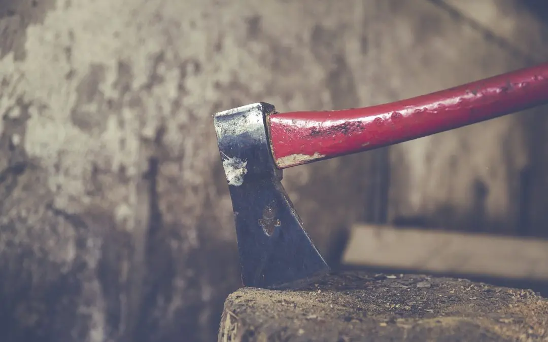 Chronique numéro 1 : « Ah bon, il y a une hache dans la grange ??? »